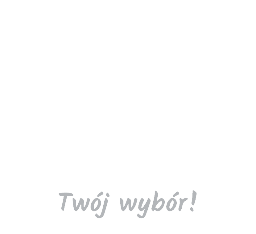 Kontakt Czyste Powietrze Pow D Wfo Igw W Katowicach