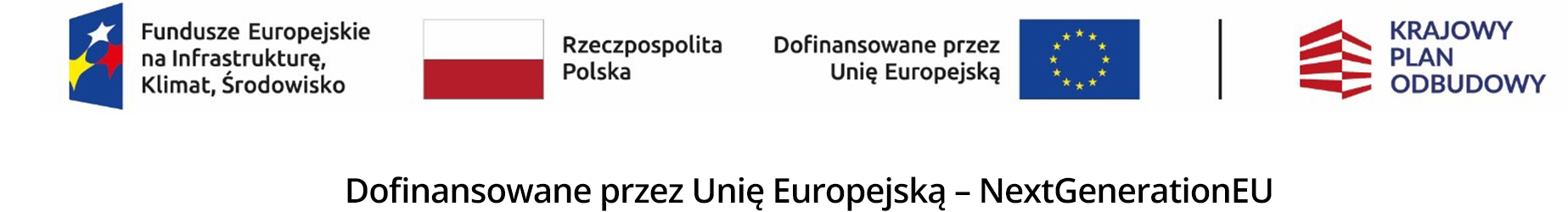 ciag_znakow_KPOiFENIX