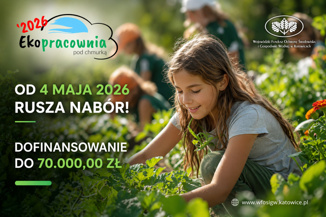 Ekopracownia pod chmurką 2026