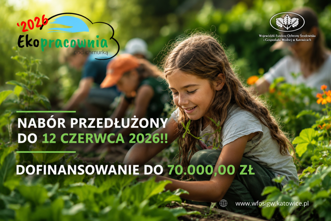 Ekochmurka nowy termin
