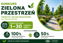 Konkurs „Zielona Przestrzeń” – nabór wniosków od 1 do 30 czerwca 2026 r.
